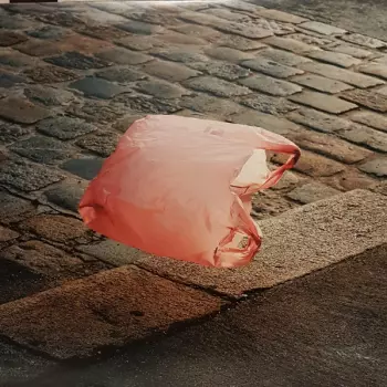 Good Vids, Vile Times