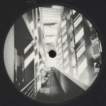 LP Ant Orange: Ant Orange LTD