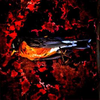 CD Slipknot: Antennas To Hell