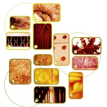 3CD Aphex Twin: Selected Ambient Works Volume Ii