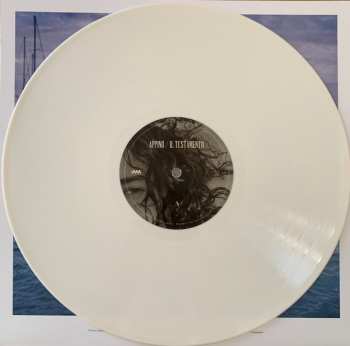 LP Andrea Appino: Il Testamento CLR | LTD | NUM