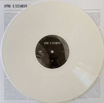 LP Andrea Appino: Il Testamento CLR | LTD | NUM