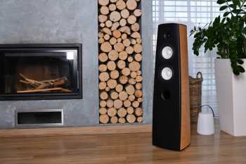 Hi-Fi Aq Canto 5 Buk