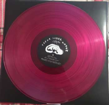 2LP Arbor Labor Union: I Hear You LTD | CLR