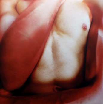 LP Arca: Arca
