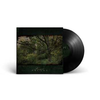 LP Arcana: Raspail LTD