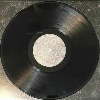 LP Architects: Lost Forever // Lost Together