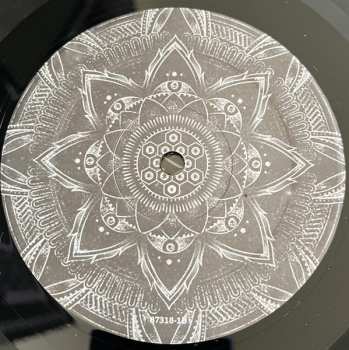LP Architects: Lost Forever // Lost Together