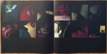 LP Arctic Monkeys: Favourite Worst Nightmare