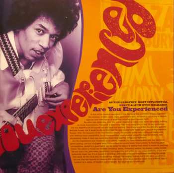 2LP The Jimi Hendrix Experience: Are You Experienced