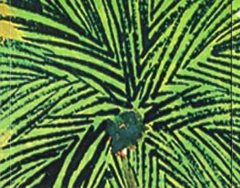 CD Armik: Isla Del Sol