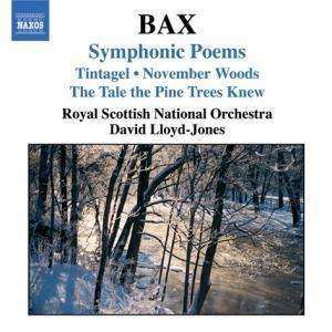 Album Royal Scottish National Orchestra: Symphonic Poems. Tintagel. November Woods. The Tale The Pine Trees Knew