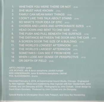 CD Arto Lindsay: Largest Afternoon