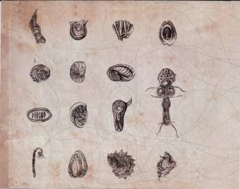 CD Asaf Avidan & The Mojos: The Reckoning