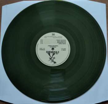 LP Ashbury: Endless Skies CLR