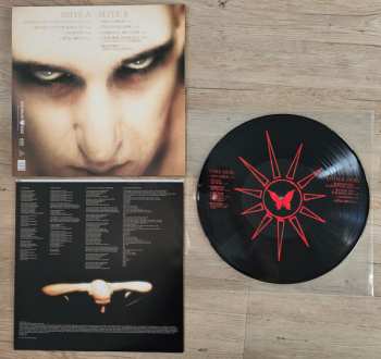 LP ASP: Hast Du Mich Vermisst? (Schmetterling Zyklus,Teil 1) LTD | PIC