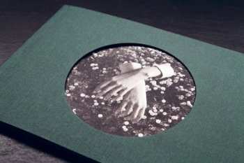 CD aspidistrafly: A Little Fable