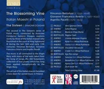 CD The Sixteen: The Blossoming Vine - Italian Maestri In Poland