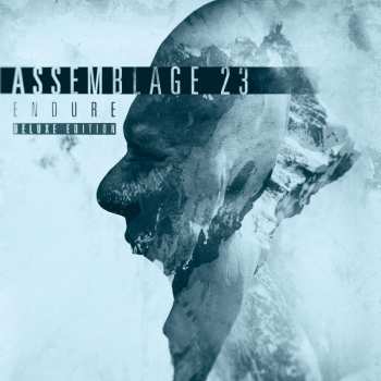 Album Assemblage 23: Endure