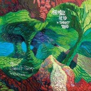 CD Assemble Head In Sunburst Sound: When Sweet Sleep Returned