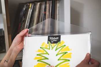 Hi-Fi Audio Anatomy Vnější obaly LP s chlopní (100 Micron)