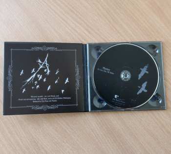 CD Austere: To Lay Like Old Ashes LTD | NUM