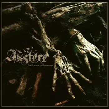 The Stillness Of Dissolution