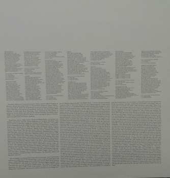 LP Avi Buffalo: Avi Buffalo