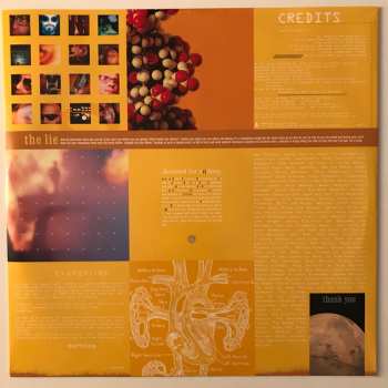 LP Bad Religion: The Process Of Belief LTD | CLR