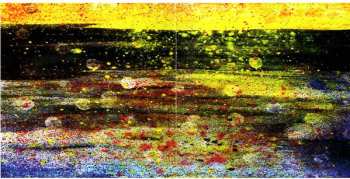 CD Bamboogie Injections: Wild Dandelion Stomping