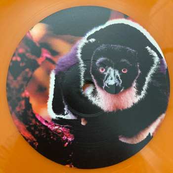 LP Bardo Pond: Volume 1 CLR | LTD