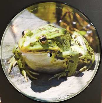 SP Barry Guy: Frogs LTD | NUM | PIC