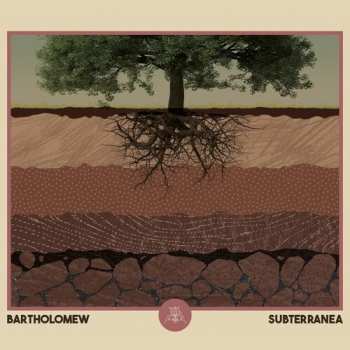Album Chris Bartholomew: Liquid Geometries