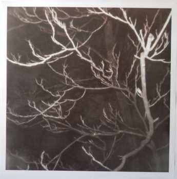 LP Baset+: Baset LTD | NUM