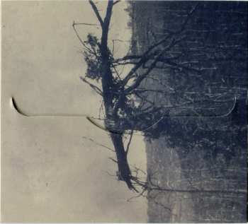 CD Bathsheba: Servus