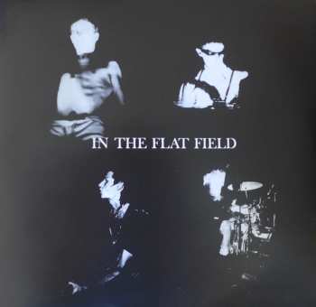 LP/CD Bauhaus: In The Flat Field