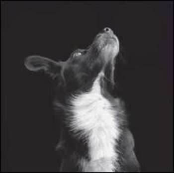 Album Be Svendsen: Catchpenny & Cosmos EP Pt. 2