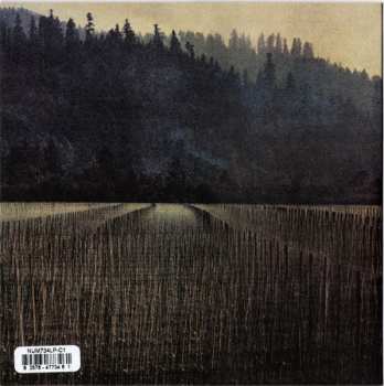 SP Current Joys: Inside Out / Cooking