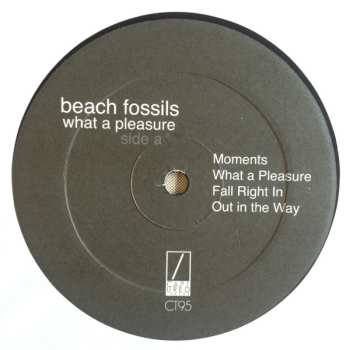 LP Beach Fossils: What A Pleasure