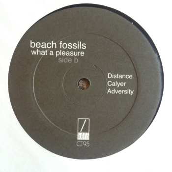 LP Beach Fossils: What A Pleasure