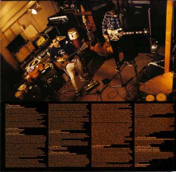 2LP Beastie Boys: Check Your Head