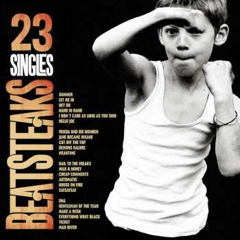 CD Beatsteaks: 23 Singles