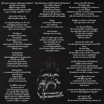 LP Bedsore: Hypnagogic Hallucinations