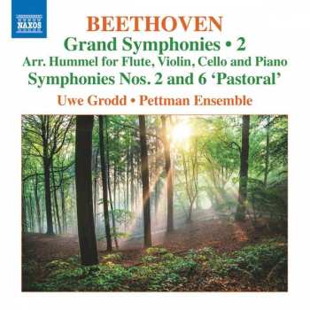 CD Ludwig van Beethoven: Grand Symphonies • 2