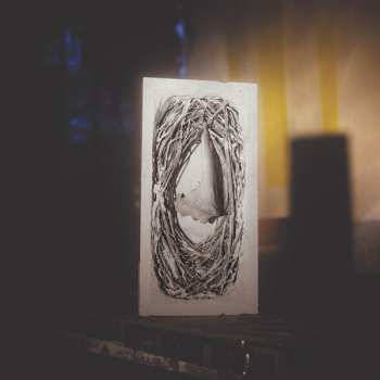 Album Bégayer: Terrain À Mire. Une Maison Rétive. Contrainte Par Le Toit