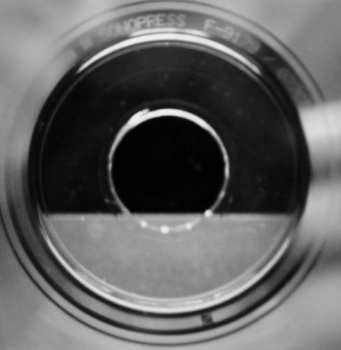 CD Bel Canto: Shimmering, Warm & Bright