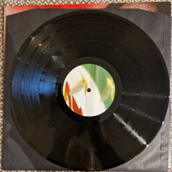 LP bela: Noise and Cries 굉음과 울음