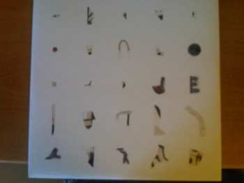 LP Ben Vida: Damaged Particulates