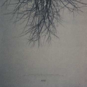 LP Benoit Pioulard: Lasted