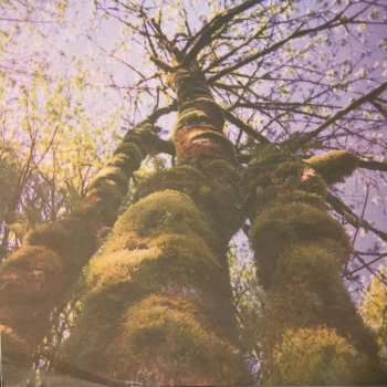 LP Benoit Pioulard: The Benoît Pioulard Listening Matter